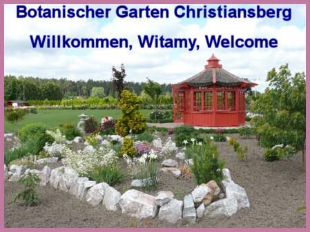 Botanischer Garten Christiansberg